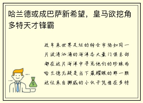 哈兰德或成巴萨新希望，皇马欲挖角多特天才锋霸