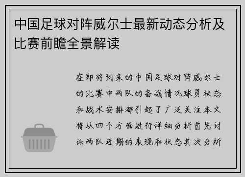 中国足球对阵威尔士最新动态分析及比赛前瞻全景解读