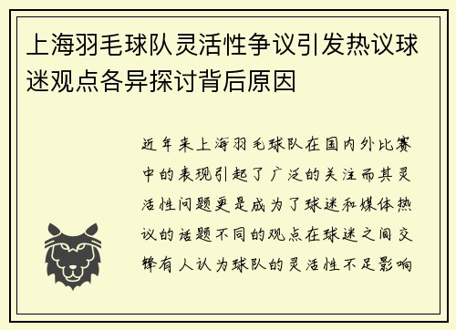 上海羽毛球队灵活性争议引发热议球迷观点各异探讨背后原因